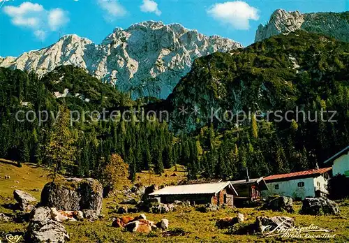 AK / Ansichtskarte Kufstein_Tirol Steinbergalm bei der Kaindlhuette mit Scheffauer Kaisergebirge Kufstein_Tirol