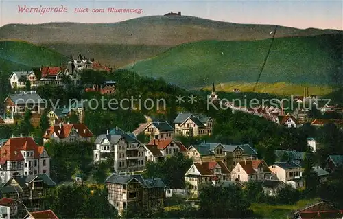 AK / Ansichtskarte Wernigerode_Harz Blick vom Blumenweg Wernigerode Harz