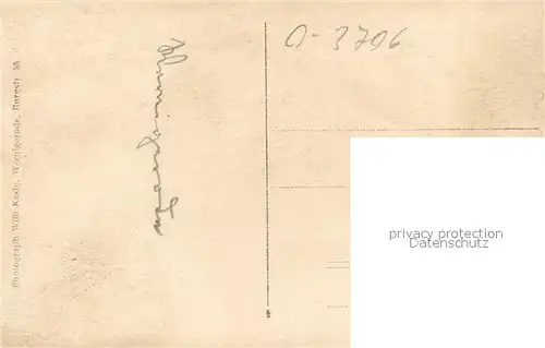 AK / Ansichtskarte Wernigerode_Harz Panorama Wernigerode Harz