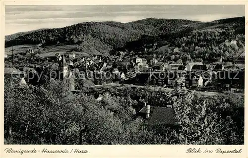 AK / Ansichtskarte Wernigerode Hasserode Blick ins Papental Wernigerode Hasserode