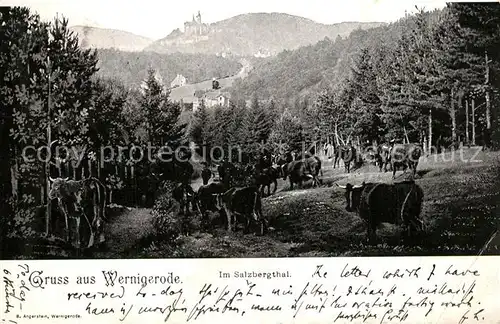 AK / Ansichtskarte Wernigerode_Harz Im Salzbergthal Wernigerode Harz