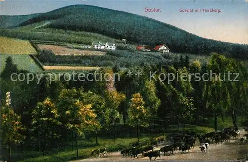 AK / Ansichtskarte Goslar Gosetal mit Herzberg Goslar