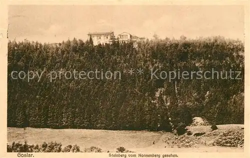 AK / Ansichtskarte Goslar Steinberg vom Nonnenberg gesehen Goslar