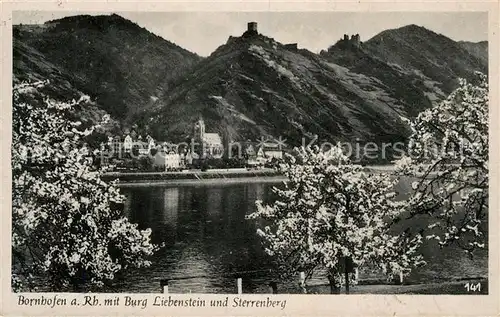 AK / Ansichtskarte Bornhofen_Kamp Rheinpartie mit Burg Liebenstein und Sterrenberg Bornhofen Kamp