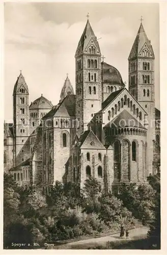 AK / Ansichtskarte Speyer_Rhein Dom Speyer Rhein