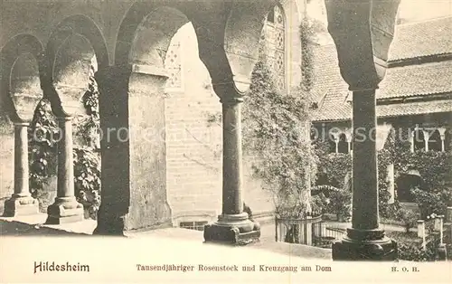 AK / Ansichtskarte Hildesheim 1000jaehriger Rosenstock und Kreuzgang am Dom Hildesheim