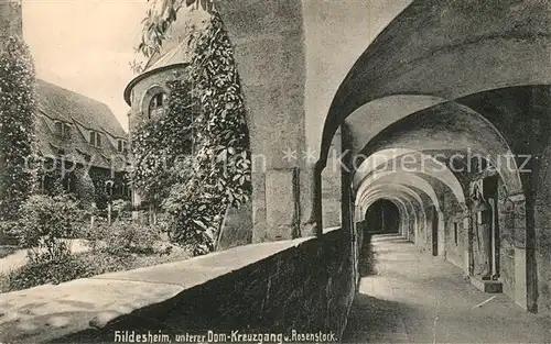 AK / Ansichtskarte Hildesheim Dom Kreuzgang Rosenstock Hildesheim