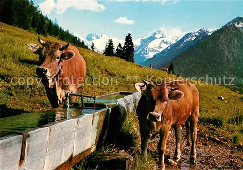 AK / Ansichtskarte Allgaeu_Region Kuehe am Brunnen Allgaeu Region