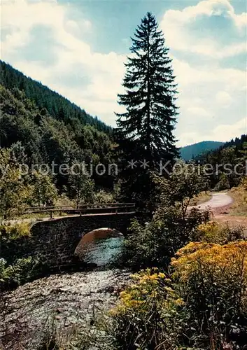 AK / Ansichtskarte Siebertal_Herzberg Brueckenpartie Siebertal Herzberg