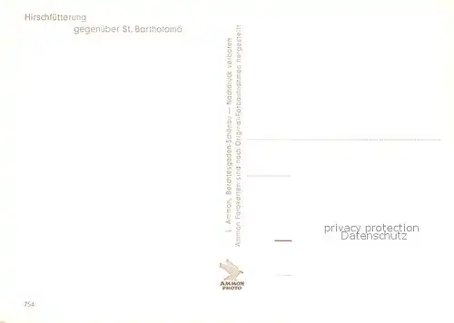 AK / Ansichtskarte St_Bartholomae Hirschfuetterung St_Bartholomae