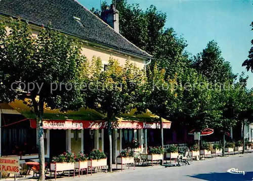 AK / Ansichtskarte Verdun sur le Doubs Hotel Restaurant Les Platanes Verdun sur le Doubs