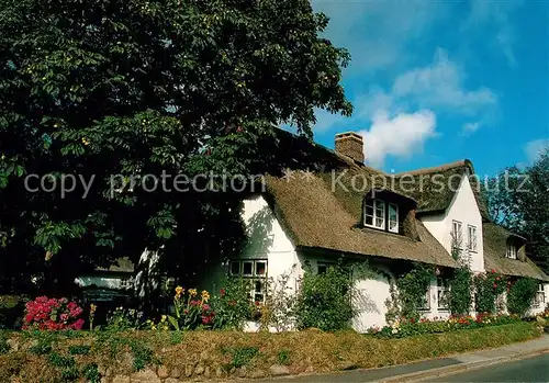 AK / Ansichtskarte Keitum_Sylt Friesenhaus Keitum Sylt