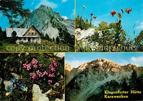 AK / Ansichtskarte Klagenfurter_Huette Berghuette Karawanken Alpenflora Krainer Lilie Gemsenheide Enzian 