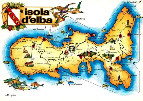 AK / Ansichtskarte Isola_d_Elba Lageplan Isola_d_Elba