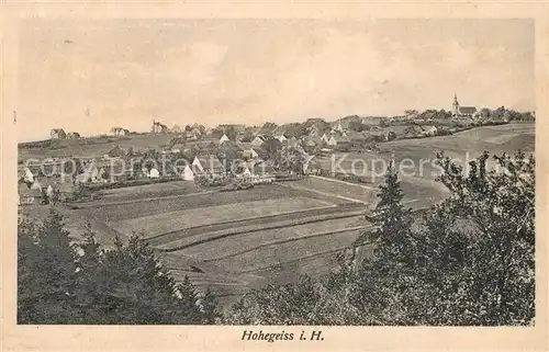 AK / Ansichtskarte Hohegeiss_Harz Panorama Hohegeiss Harz