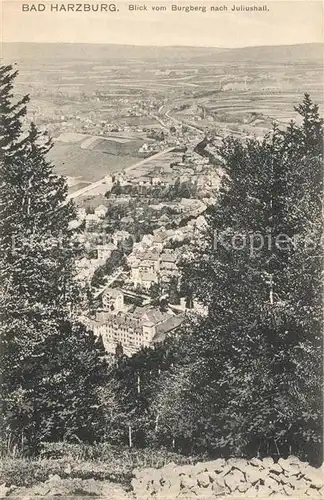 AK / Ansichtskarte Bad_Harzburg Blick vom Burgberg nach Juliushall Bad_Harzburg