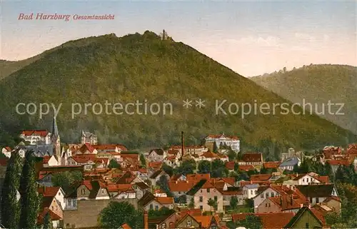 AK / Ansichtskarte Bad_Harzburg Ortsansicht Bad_Harzburg