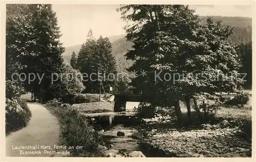 AK / Ansichtskarte Lautenthal_Harz Bismarck Promenade Lautenthal Harz