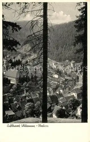 AK / Ansichtskarte Wildemann Panorama Wildemann