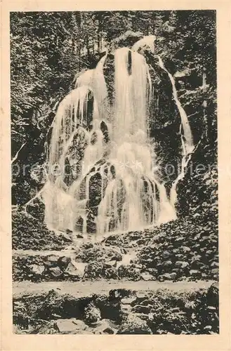 AK / Ansichtskarte Bad_Harzburg Radauwasserfall Bad_Harzburg