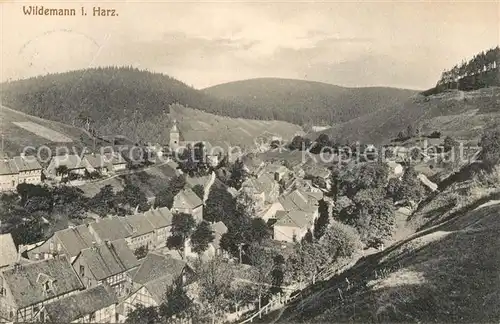 AK / Ansichtskarte Wildemann Panorama Wildemann