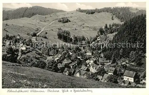 AK / Ansichtskarte Wildemann Blick vom Badstubenberg Wildemann