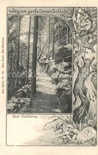 AK / Ansichtskarte Okertal Neuer Okerthalweg am zerfallenen Schloss Okertal