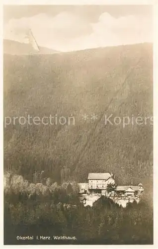 AK / Ansichtskarte Okertal Waldhaus Okertal