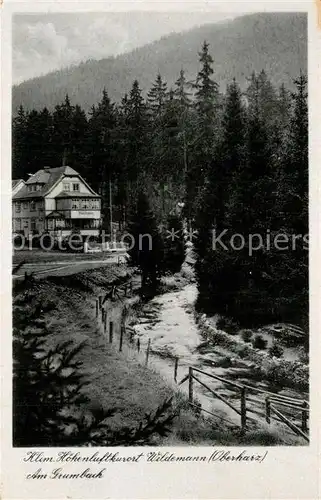 AK / Ansichtskarte Wildemann Am Grumbach Wildemann