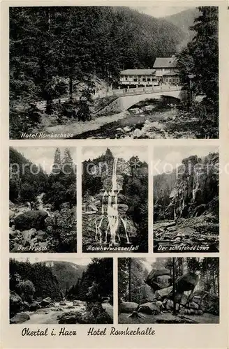 AK / Ansichtskarte Okertal Hotel Romkerhalle Der Frosch Romkerwasserfall Der schlafende Loewe Okertal