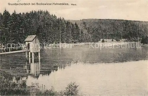 AK / Ansichtskarte Bockswiese Hahnenklee_Harz Grumbacherteich Bockswiese Hahnenklee