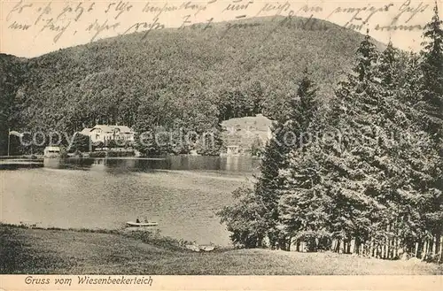 AK / Ansichtskarte Bad_Lauterberg Wiesenbeekerteich Bad_Lauterberg