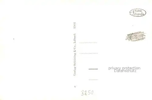 AK / Ansichtskarte Hameln_Weser Osterstrasse Hameln Weser