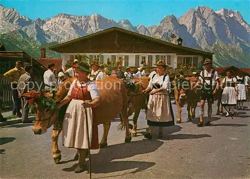 AK / Ansichtskarte Garmisch Partenkirchen Almabtrieb Kuehe Tracht Zugspitze Garmisch Partenkirchen