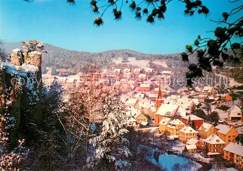 AK / Ansichtskarte Velden_Mittelfranken im Winter Velden Mittelfranken