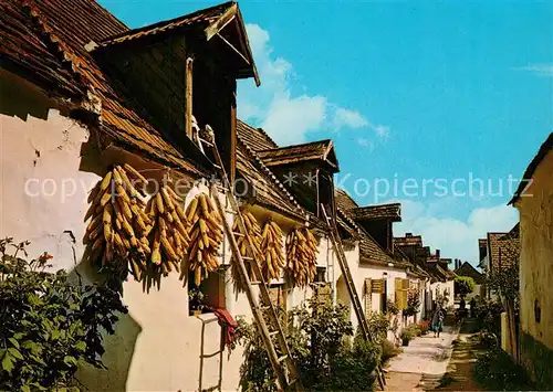 AK / Ansichtskarte Burgenland_Oesterreich Hofgasse Burgenland_Oesterreich