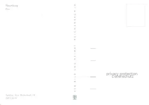 AK / Ansichtskarte Naumburg_Saale Dom Naumburg_Saale