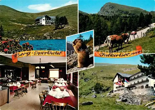 AK / Ansichtskarte Falkert_Reichenau_Kaernten Berg Sporthotel Falkertsee Almvieh Kuehe Murmeltier Alpen Falkert_Reichenau