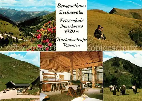 AK / Ansichtskarte Kremsbruecke Berggasthaus Zechneralm Landschaftspanorama Friesenhals Innerkrems Nockalmstrasse Pferde Kremsbruecke