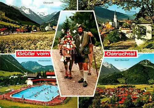 AK / Ansichtskarte Ostrachtal Almabtrieb Oberjoch Hindelang Bad Oberdorf Hinterstein Ostrachtal