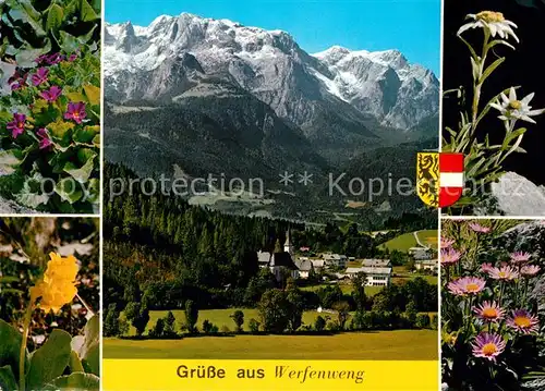 AK / Ansichtskarte Werfenweng  Werfenweng