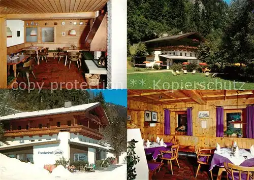 AK / Ansichtskarte Mayrhofen_Zillertal Gasthof Pension Forellenhof Linde Mayrhofen_Zillertal