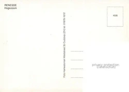 AK / Ansichtskarte Renesse Hogezoom Renesse