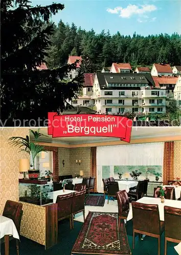AK / Ansichtskarte Altenau_Harz Hotel Pension Bergquell Altenau Harz
