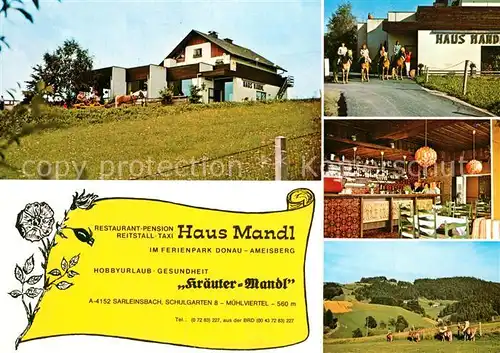 AK / Ansichtskarte Sarleinsbach Pension Restaurant Haus Mandl Landschaftspanorama Ausritt Sarleinsbach