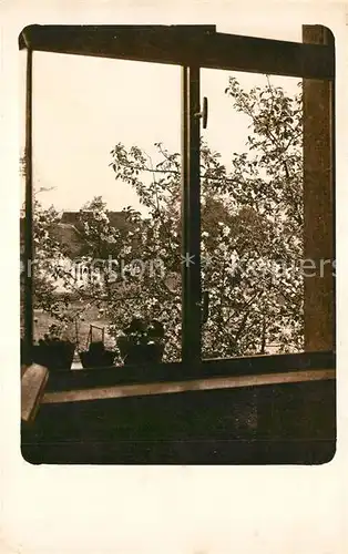 AK / Ansichtskarte Stade_Niederelbe Blick aus dem Fenster Stade Niederelbe