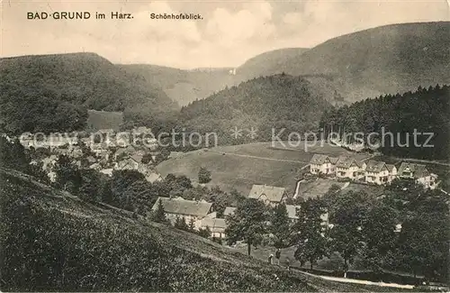 AK / Ansichtskarte Bad_Grund Schoenhofsblick Bad_Grund