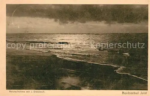 AK / Ansichtskarte Insel_Juist Nordseebad Panorama Insel_Juist