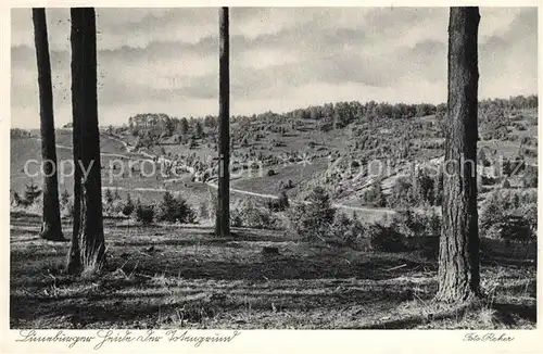 AK / Ansichtskarte Lueneburger_Heide Im Totengrund Lueneburger Heide