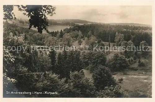 AK / Ansichtskarte St_Andreasberg_Harz Kurpark St_Andreasberg_Harz